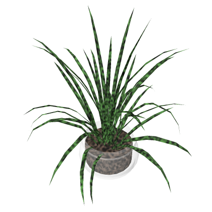 Aesthetic Potted Table Plant