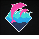 Dolphin Blox Dance Academy