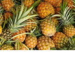 Pineapple Squad Yo Tengo Edition