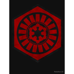 *-The First Order-*
