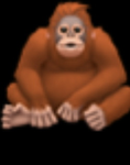 i’m gonna give You Robux