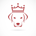 Doggy kingdom!!