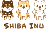 Shiba Fans from Japan Club