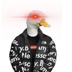 Roblox Gamer Gang$