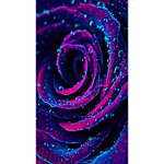 The Ice Blush