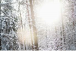 Snowlight