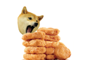 doge Hangoutt