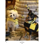~ºCutie Bees~º (Offical Group