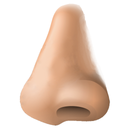 Nose Game