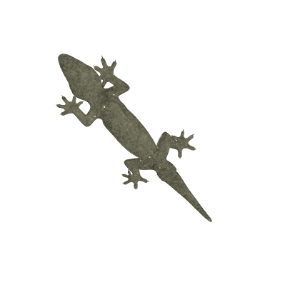 House Gecko