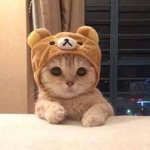 Testing_Theory