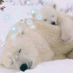 ✦