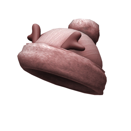 Winter Beanie Roblox item