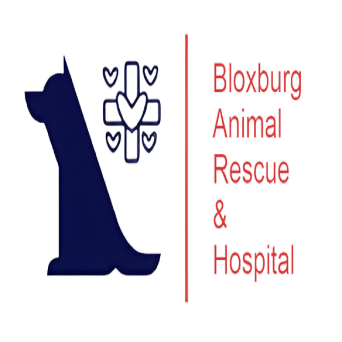 bloxburg animal hospital Roblox decal
