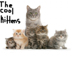 The Cool Kittenz
