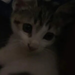 allrights1103's Place