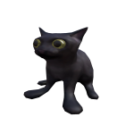 Funny cat on the head