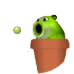 Pea Shooter Chomik