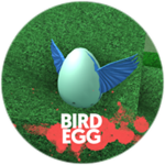 Bird Egg