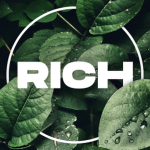Rich Designers Co.