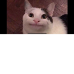 Scarrylarry21 fan group
