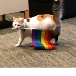 S0DA KAT