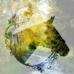 ~Berry Blossom Stables finale~