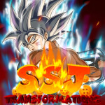(MOVED) SSJ Transformations Testing