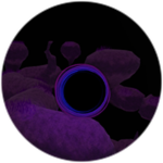 The Void Hungers