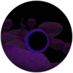 The Void Hungers