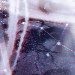 ✦