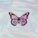 Jade's Aesthetic's