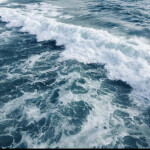 🌊