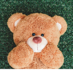| teddy bears |