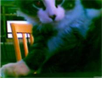 Animal Loverz!!!!