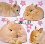 Dummy Bunnies