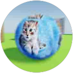 MEOW.png
