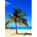 ROBLOX ISLANDS GROUP/ BROOKHAVEN/GREENVILLE