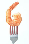 Shrimp collections