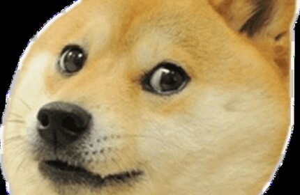 DOGES vs CATS