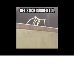 Skit buged lol