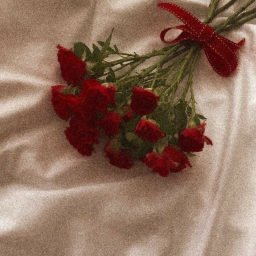 ๑ ⋆ ♡ ๑˚⊹