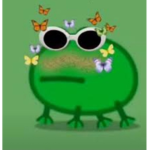 Toads!