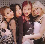 Blinks ( Blackpink fans)