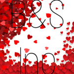B&S INC