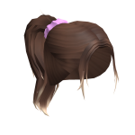 Aesthetic Brown Ponytail with Ombre