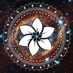The Starflower Galaxy