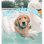 ʚɞ ava’s wardrobe ʚɞ