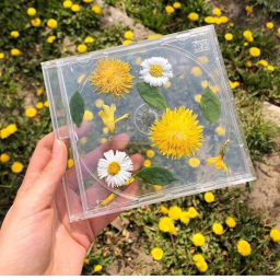 💛
