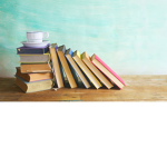 The Fun Book Club